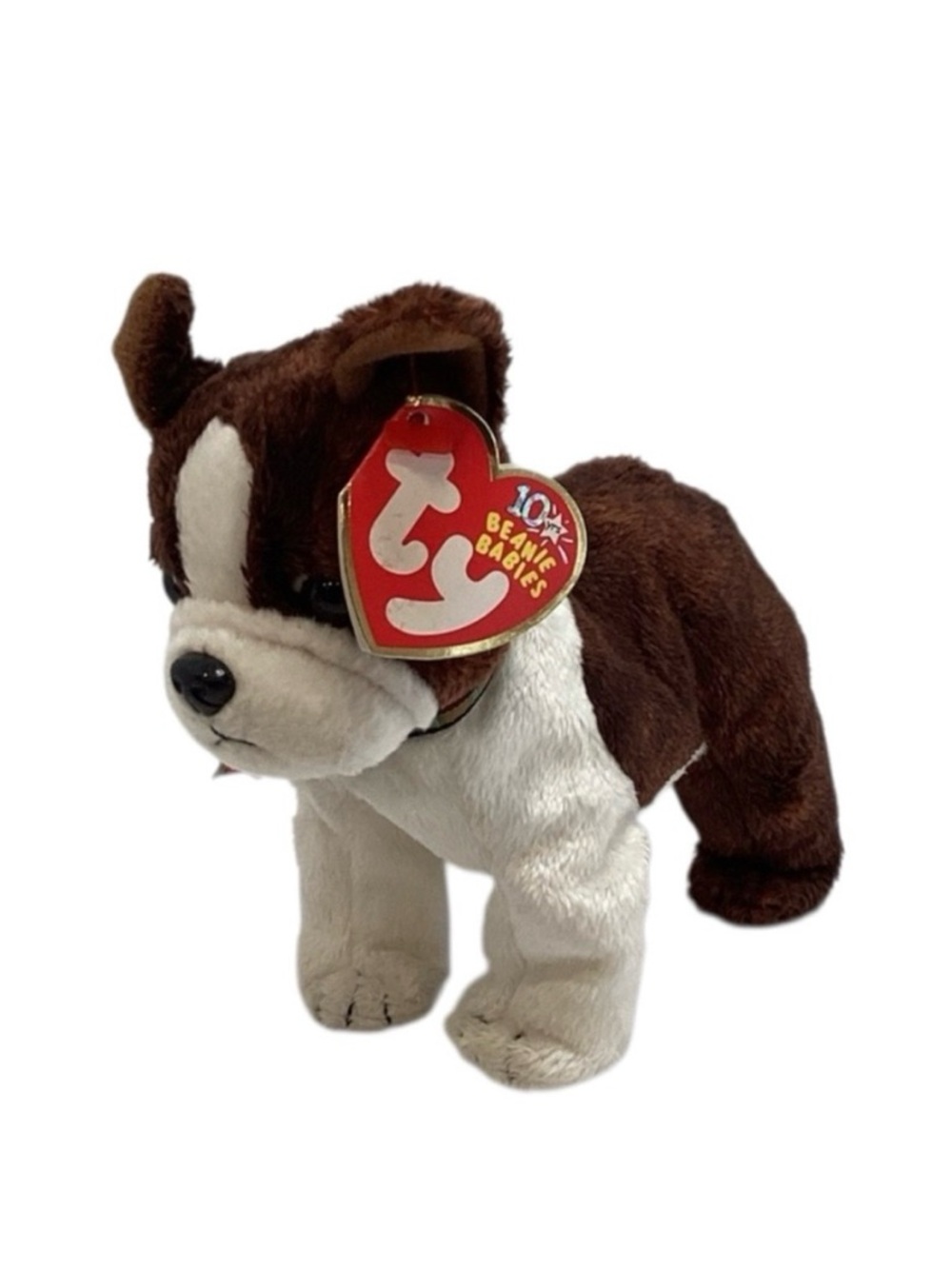 💚 TY “Sport” Beanie Baby Bulldog